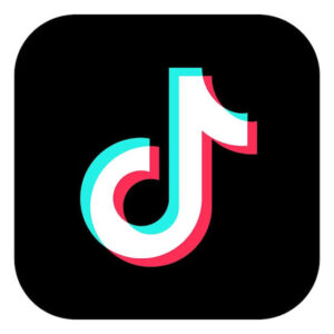 TikTok Account - 100k Followers